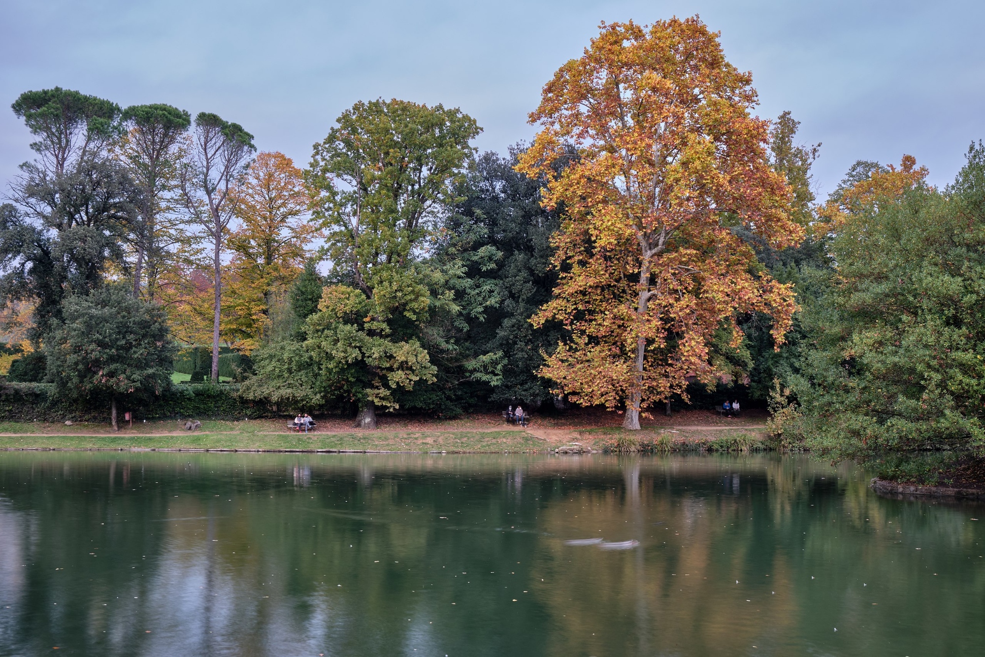 Parc de la Villa Puccini à Scornio