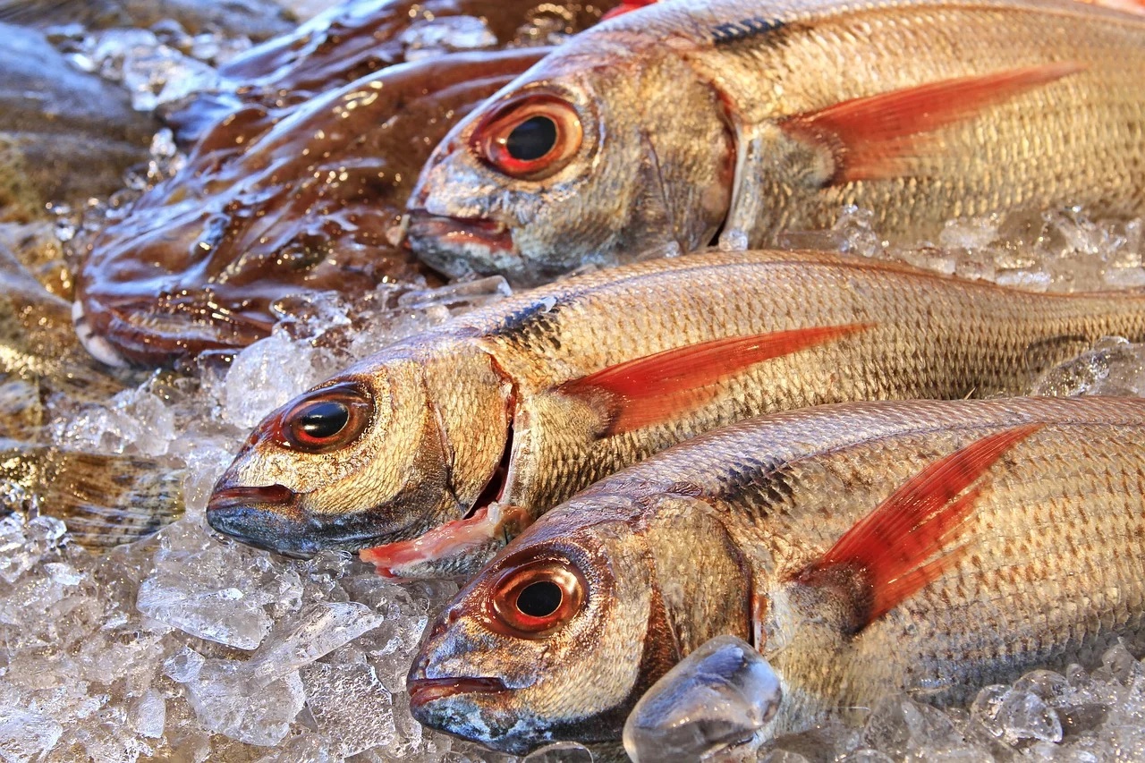 Poissons frais à la criée