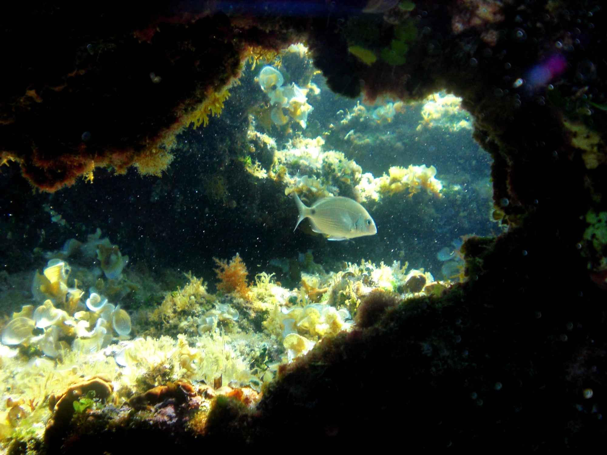 Image du fond marin de l’île avec les rayons du soleil pénétrant dans l’eau