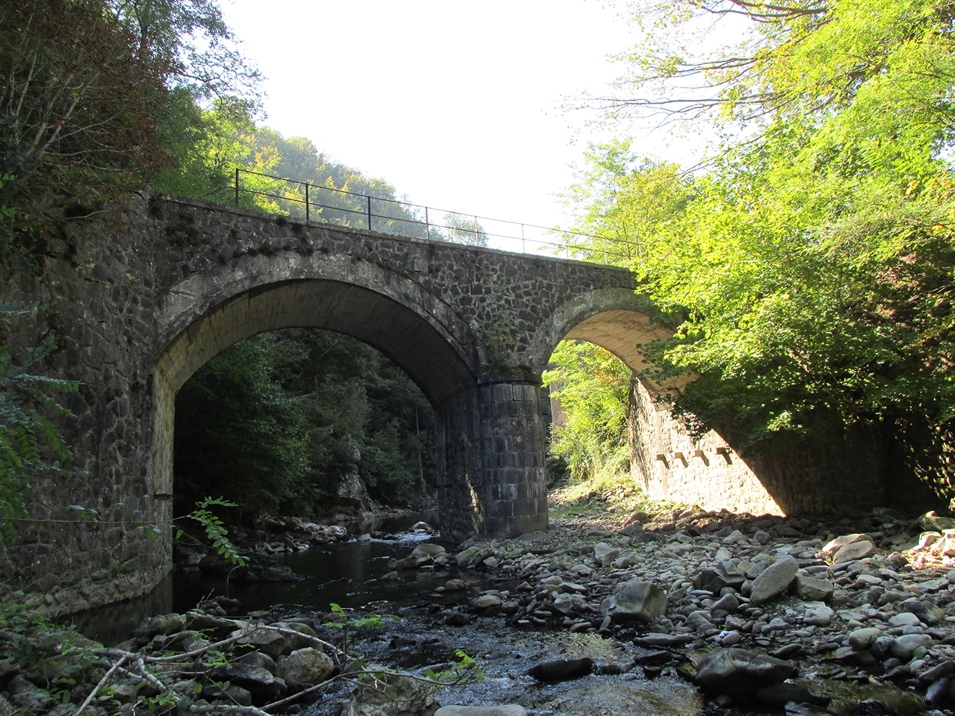 Pont sur le fleuve Reno