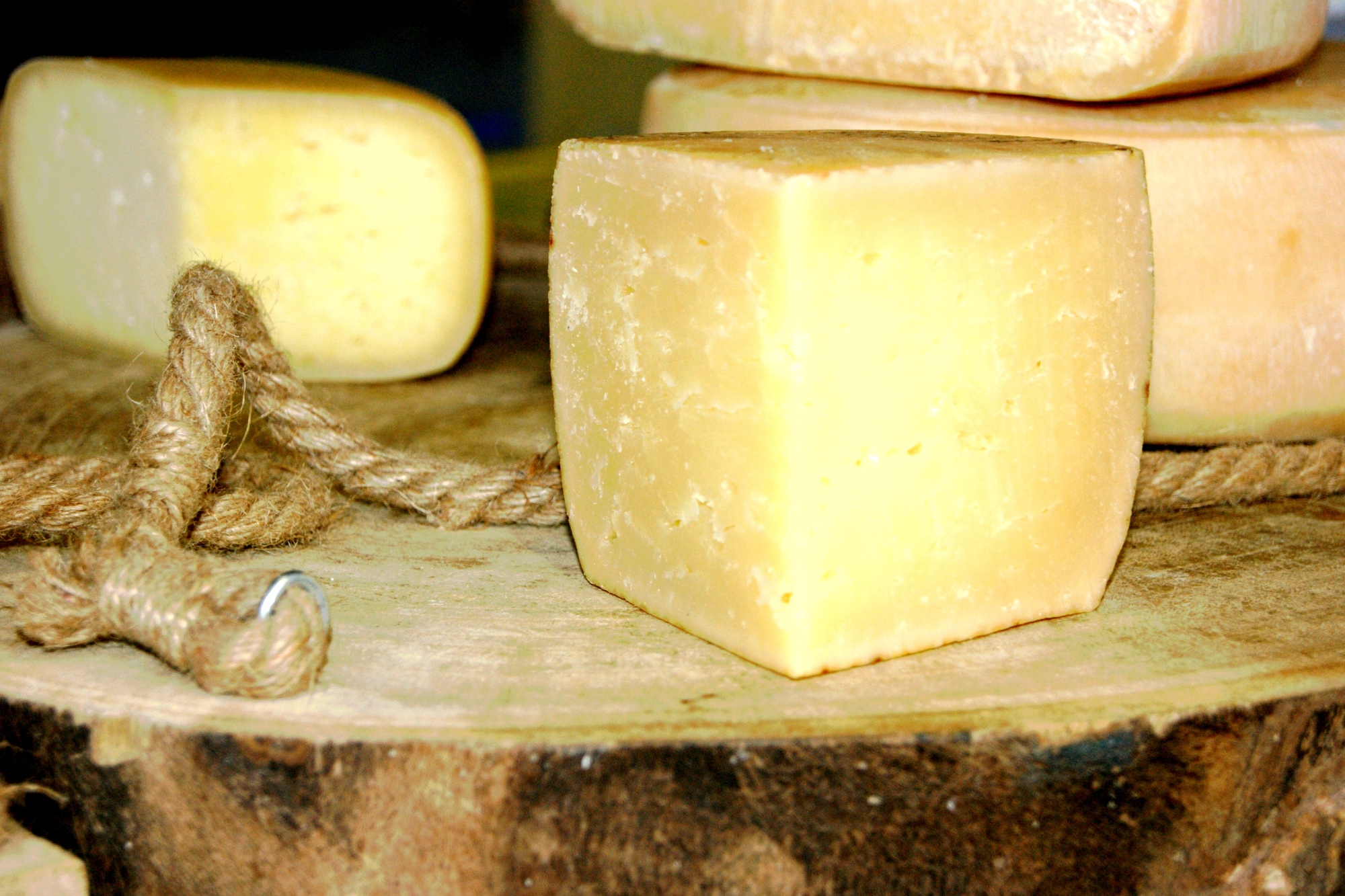 Le pecorino de la Montagne de Pistoia