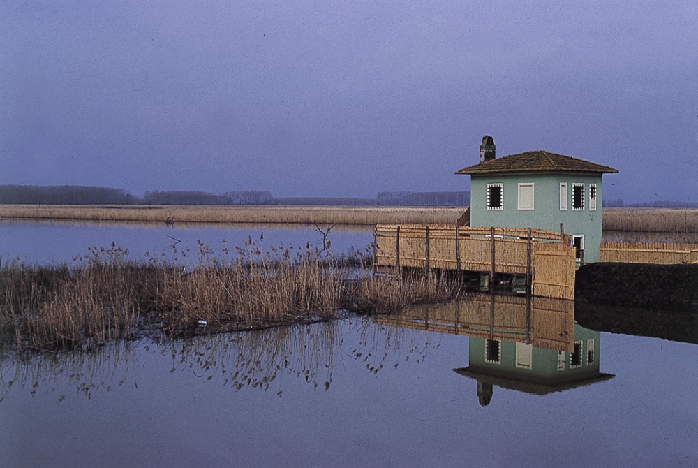 Marais de Fucecchio