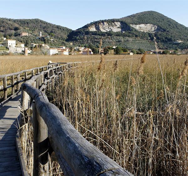 Réserve de biosphère des forêts côtières de Toscane