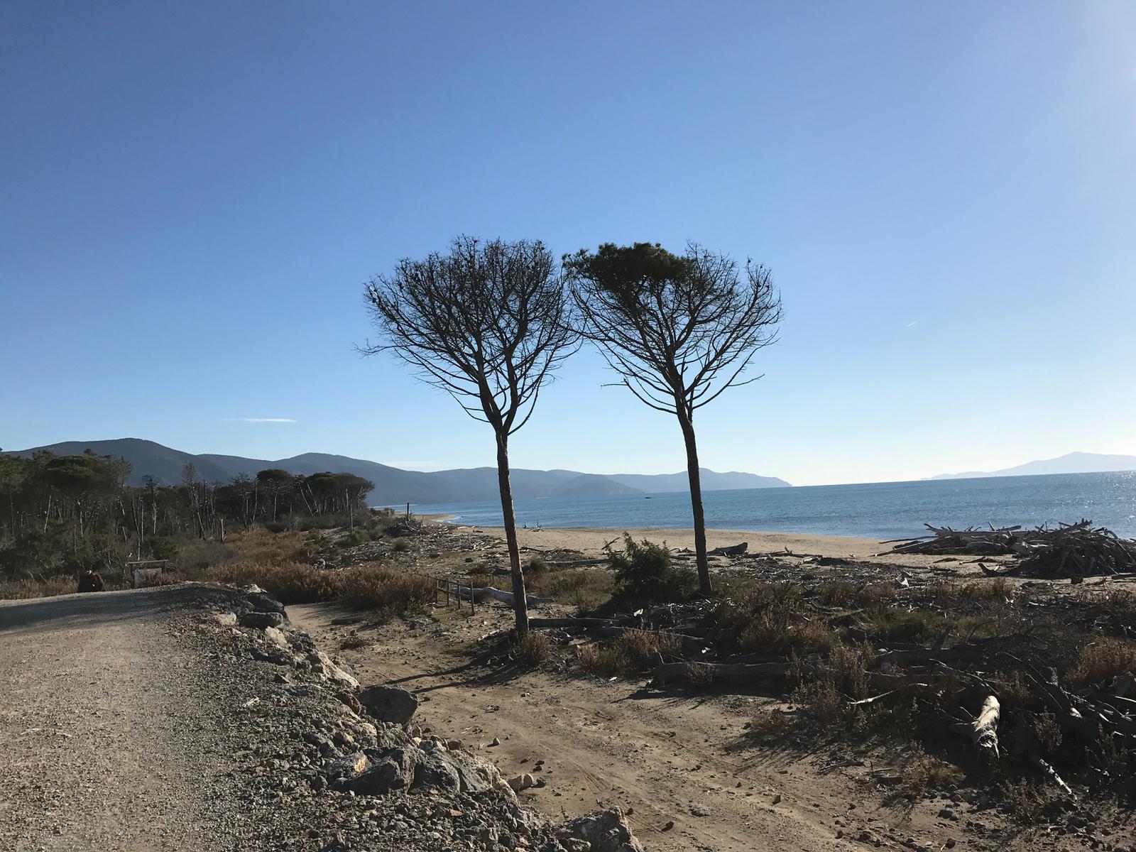 Parc de la Maremme