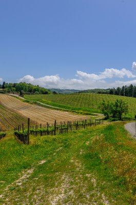 Camminando lungo la Francigena in Toscana