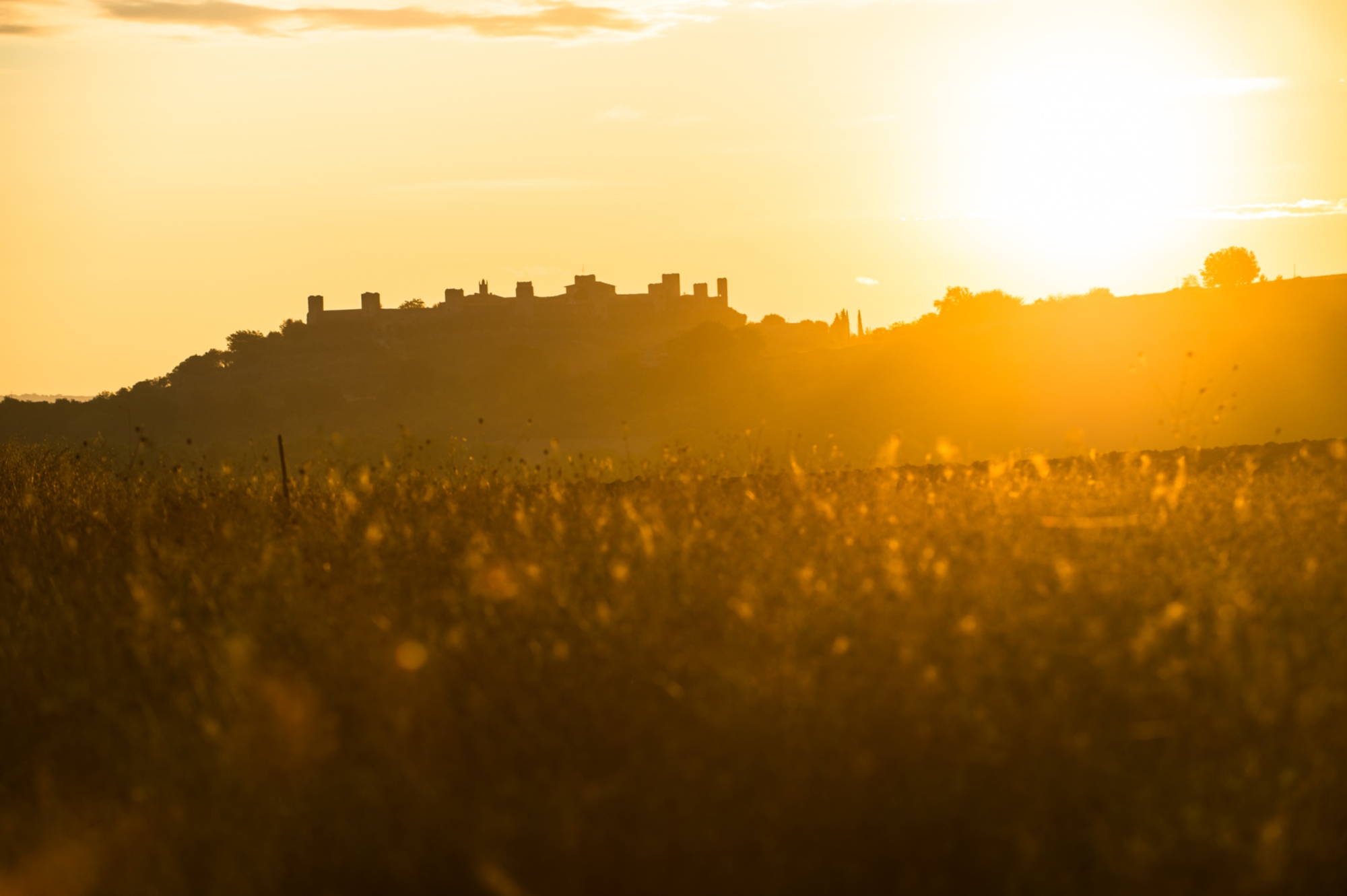 Coucher de soleil sur un champ en Toscane, avec le village fortifié de Monteriggioni au loin