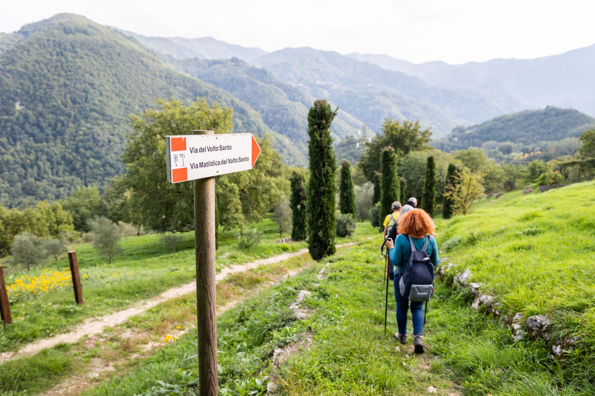 Le long de la Via Matildica del Volto Santo