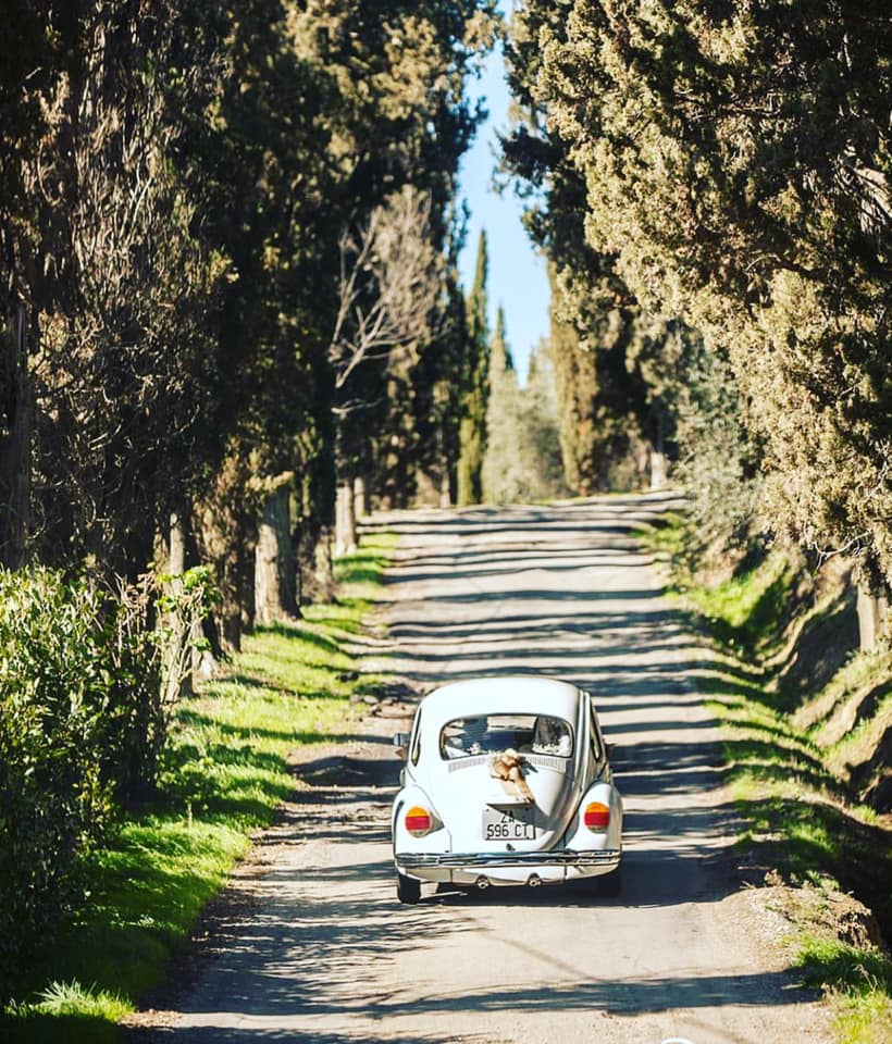 Mariage à la Villa Dianella